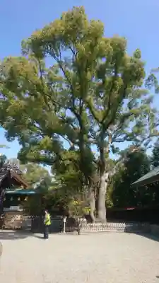 和泉國一之宮　大鳥大社(大阪府)