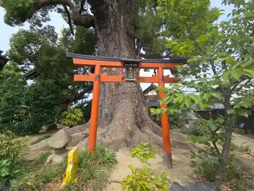 法楽寺(大阪府)
