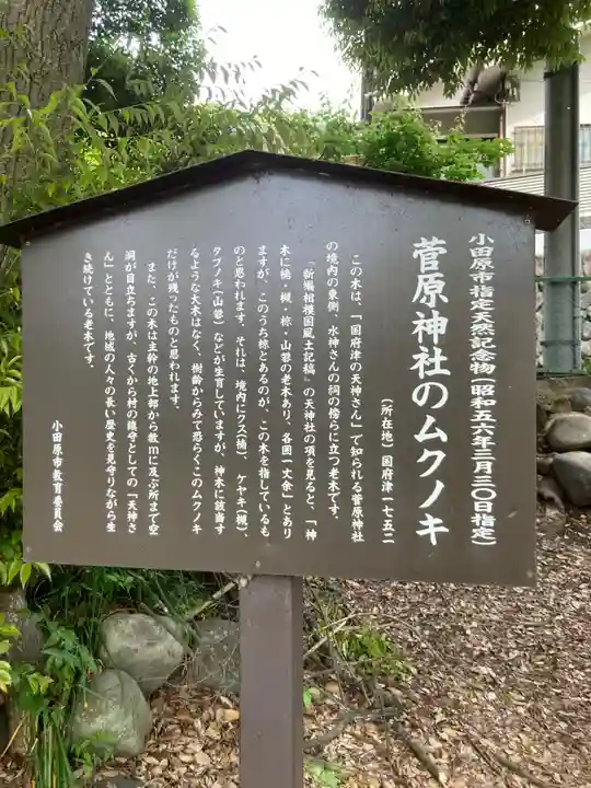 菅原神社(神奈川県)