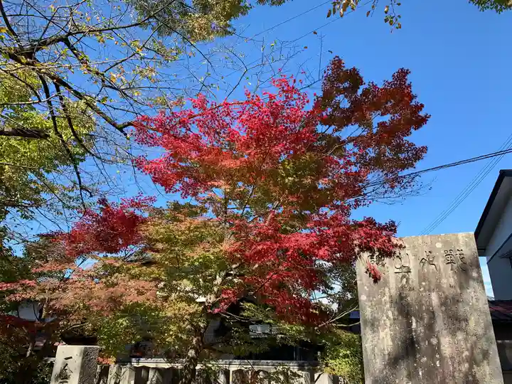 篠座神社の自然
