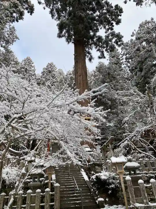 由岐神社(京都府)