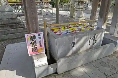 長浜八幡宮の手水舎