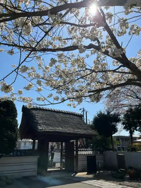 海宝院の山門・神門