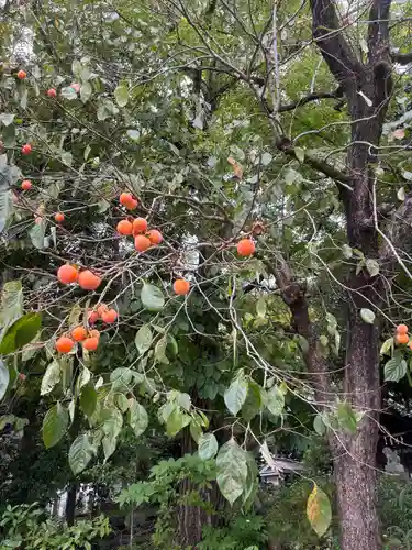 七所神社(愛知県)