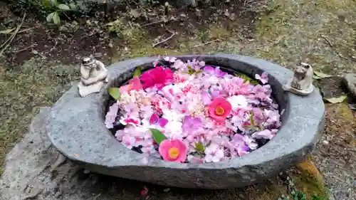 かっぱの寺 栖足寺(静岡県)