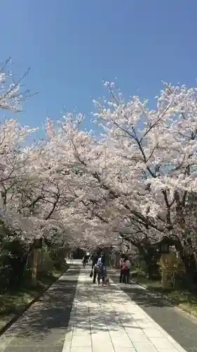 高麗神社のその他建物