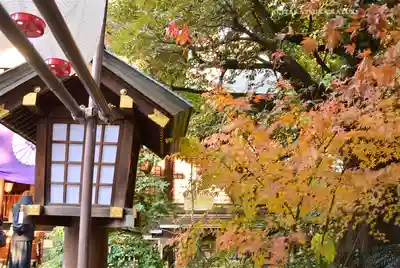 東京大神宮(東京都)