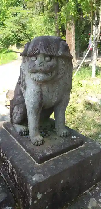 小幡八幡宮の狛犬