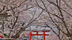 平野神社の建物その他