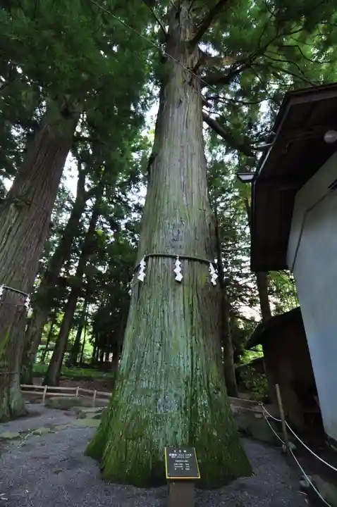 河口浅間神社(山梨県)