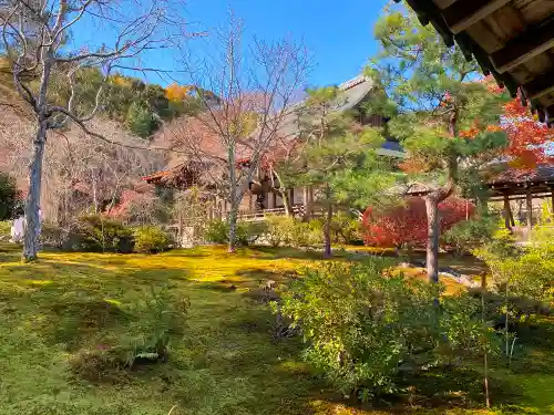 天龍寺の庭園