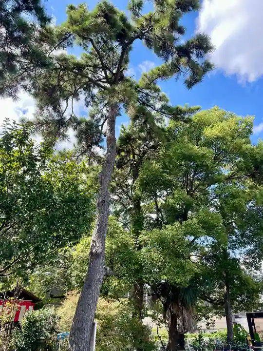 西千葉稲荷大明神(千葉県)