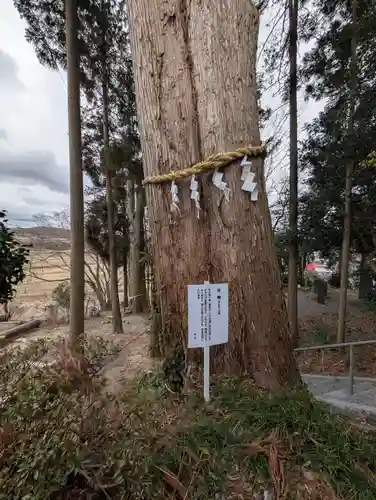 阿久津「田村神社」（郡山市阿久津町）旧社名：伊豆箱根三嶋三社(福島県)