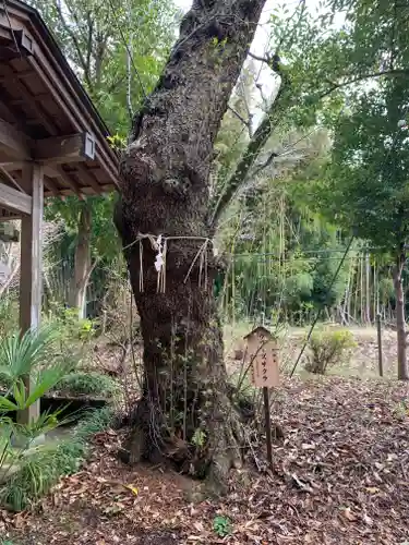 鷲神社(茨城県)