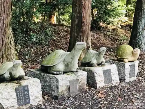 亀岡八幡宮の狛犬