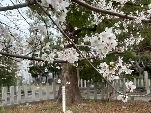七所神社(愛知県)