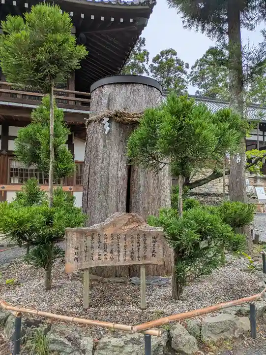 伊太祁曽神社(和歌山県)