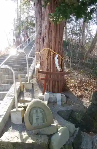 千歳神社の自然