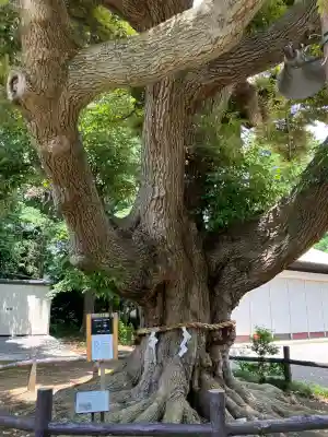 諏訪神社(神奈川県)