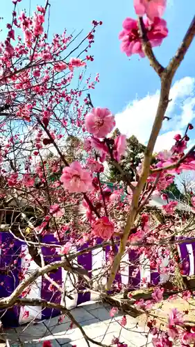 北野天満宮(京都府)