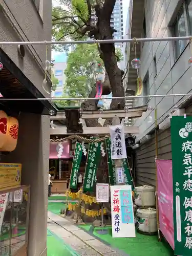 少彦名神社の鳥居