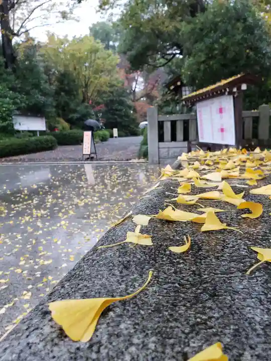 阿佐ヶ谷神明宮(東京都)