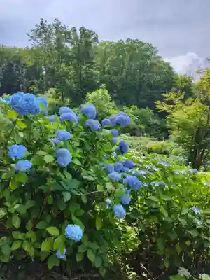 陽林寺(福島県)