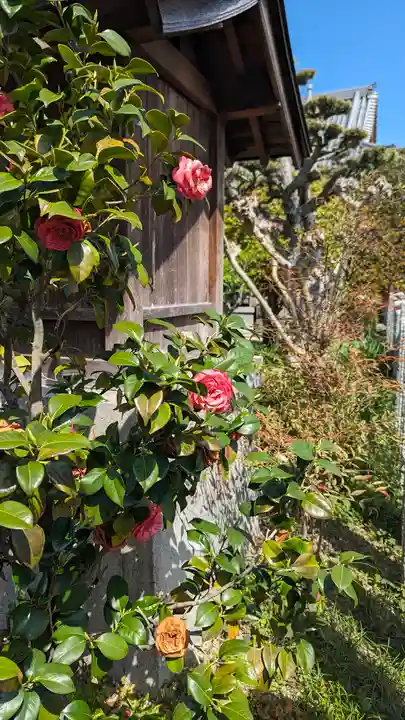 大松禅寺(京都府)