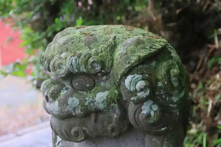 阿久津「田村神社」(郡山市阿久津町)旧社名:伊豆箱根三嶋三社の狛犬