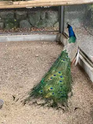 天台宗 五大山 白毫寺(兵庫県)