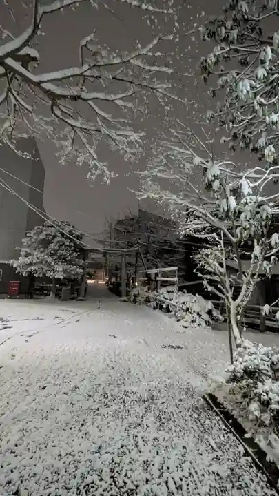 八坂神社(滋賀県)