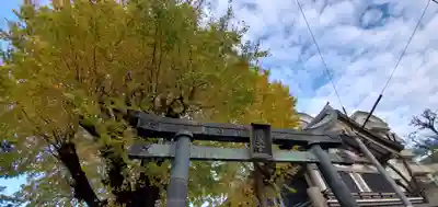 湯島天満宮の鳥居