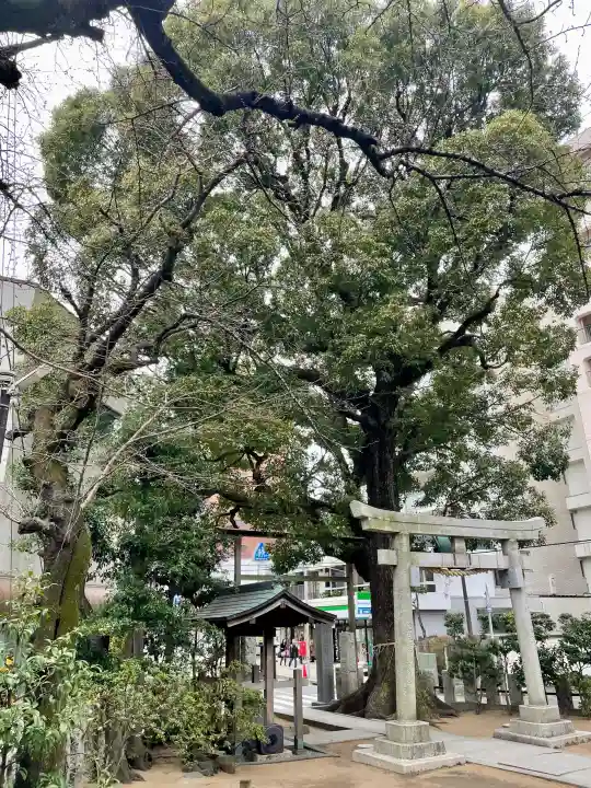 八幡神社の{uncategorized: "未分類", other: "その他", undefined: "問題あり", building: "その他建物", grave: "お墓", sacred_gate: "鳥居", guardian: "狛犬", statue: "像", buddha: "仏像", history: "歴史", nature: "自然", garden: "庭園", animal: "動物", pagoda: "塔", temizu: "手水舎", mountain_gate: "山門・神門", sanctuary: "本殿・本堂", subordinate: "末社・摂社", art: "芸術", scenery: "景色", jizo: "地蔵", ema: "絵馬", goshuin: "御朱印", omikuji: "おみくじ", items: "授与品その他", amulet: "お守り", goshuincho: "御朱印帳", eats: "食事", festival: "お祭り", votive_dance: "神楽", shichigosan: "七五三参", wedding: "結婚式", experience: "体験その他", initially: "初詣", around: "周辺", anti_infection: "感染症対策"}