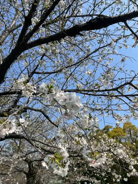 三嶋大社の{uncategorized: "未分類", other: "その他", undefined: "問題あり", building: "その他建物", grave: "お墓", sacred_gate: "鳥居", guardian: "狛犬", statue: "像", buddha: "仏像", history: "歴史", nature: "自然", garden: "庭園", animal: "動物", pagoda: "塔", temizu: "手水舎", mountain_gate: "山門・神門", sanctuary: "本殿・本堂", subordinate: "末社・摂社", art: "芸術", scenery: "景色", jizo: "地蔵", ema: "絵馬", goshuin: "御朱印", omikuji: "おみくじ", items: "授与品その他", amulet: "お守り", goshuincho: "御朱印帳", eats: "食事", festival: "お祭り", votive_dance: "神楽", shichigosan: "七五三参", wedding: "結婚式", experience: "体験その他", initially: "初詣", around: "周辺", anti_infection: "感染症対策"}