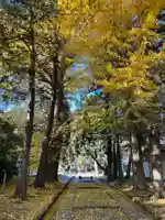 三芳野神社(埼玉県)