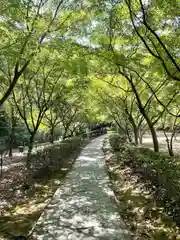 武雄神社(佐賀県)