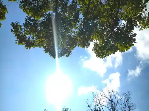 金刀比羅神社(岡山県)