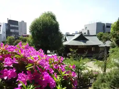 千駄ヶ谷冨士浅間神社の景色