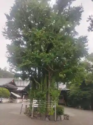 健軍神社(熊本県)