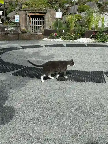 不二阿祖山太神宮(山梨県)