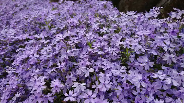 寿量山 速成寺の庭園