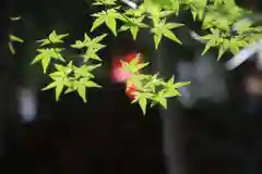 滑川神社 - 仕事と子どもの守り神の自然