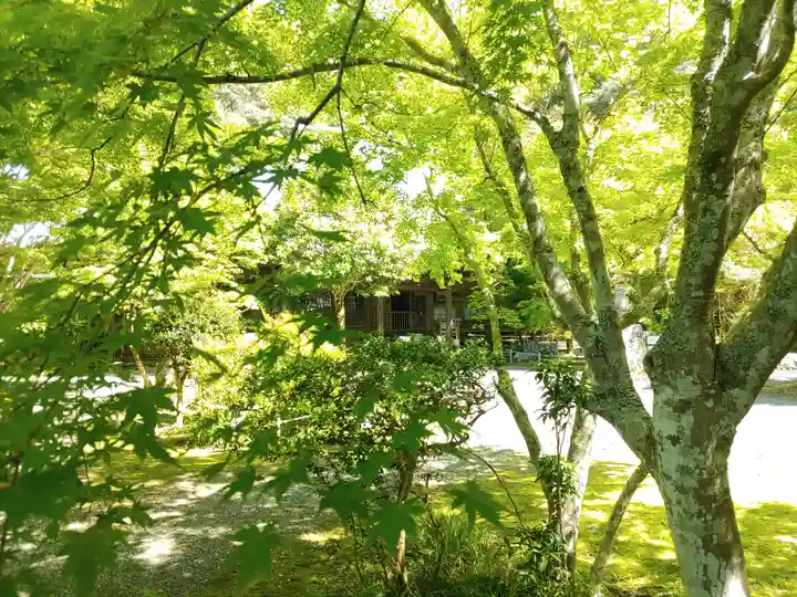 小松寺(千葉県)