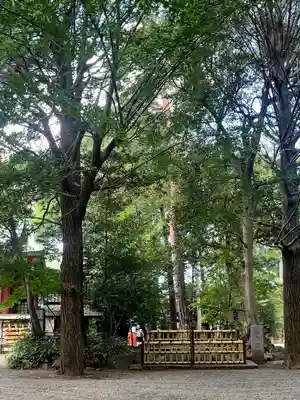 世田谷八幡宮(東京都)