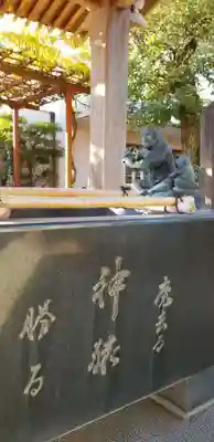 日枝神社の手水舎