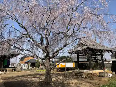 長谷寺(茨城県)