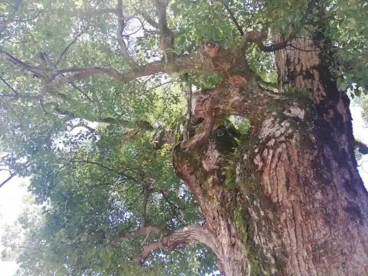 八幡神社(福島県)