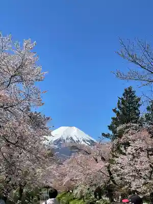 東円寺(山梨県)