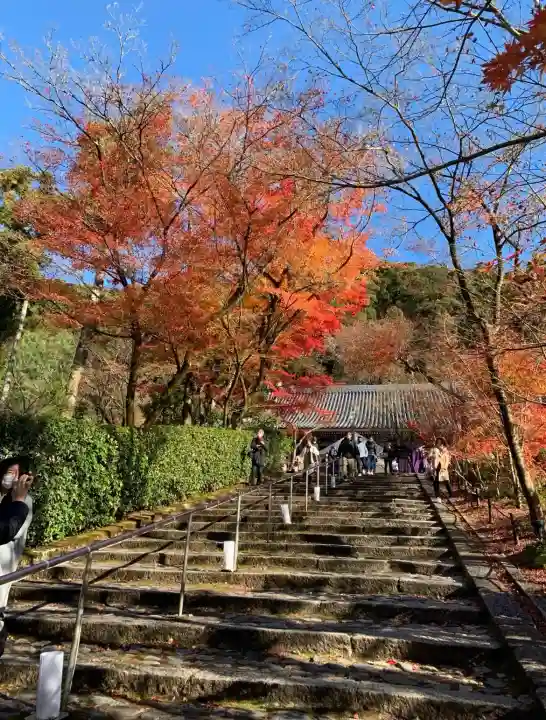 禅林寺(永観堂)の{uncategorized: "未分類", other: "その他", undefined: "問題あり", building: "その他建物", grave: "お墓", sacred_gate: "鳥居", guardian: "狛犬", statue: "像", buddha: "仏像", history: "歴史", nature: "自然", garden: "庭園", animal: "動物", pagoda: "塔", temizu: "手水舎", mountain_gate: "山門・神門", sanctuary: "本殿・本堂", subordinate: "末社・摂社", art: "芸術", scenery: "景色", jizo: "地蔵", ema: "絵馬", goshuin: "御朱印", omikuji: "おみくじ", items: "授与品その他", amulet: "お守り", goshuincho: "御朱印帳", eats: "食事", festival: "お祭り", votive_dance: "神楽", shichigosan: "七五三参", wedding: "結婚式", experience: "体験その他", initially: "初詣", around: "周辺", anti_infection: "感染症対策"}
