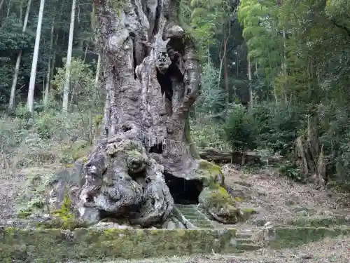 武雄神社の{uncategorized: "未分類", other: "その他", undefined: "問題あり", building: "その他建物", grave: "お墓", sacred_gate: "鳥居", guardian: "狛犬", statue: "像", buddha: "仏像", history: "歴史", nature: "自然", garden: "庭園", animal: "動物", pagoda: "塔", temizu: "手水舎", mountain_gate: "山門・神門", sanctuary: "本殿・本堂", subordinate: "末社・摂社", art: "芸術", scenery: "景色", jizo: "地蔵", ema: "絵馬", goshuin: "御朱印", omikuji: "おみくじ", items: "授与品その他", amulet: "お守り", goshuincho: "御朱印帳", eats: "食事", festival: "お祭り", votive_dance: "神楽", shichigosan: "七五三参", wedding: "結婚式", experience: "体験その他", initially: "初詣", around: "周辺", anti_infection: "感染症対策"}